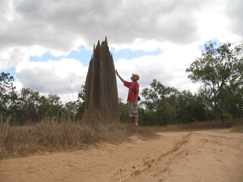 Lakefield National Park - Walkabout